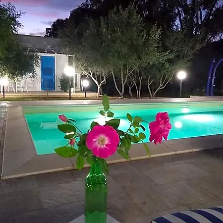 维尔吉布鲁住宿加早餐旅馆