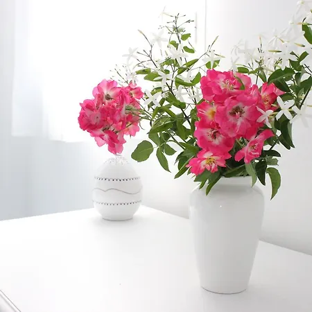 Verdeblu Bed & Breakfast Torre Suda