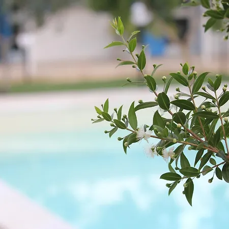 Verdeblu טורה סודה