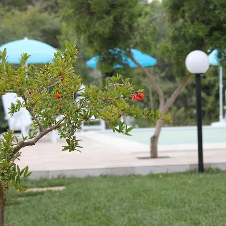 Bed & Breakfast Verdeblu 4*